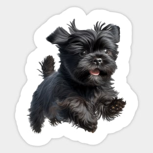 Affenpinscher - dog Sticker